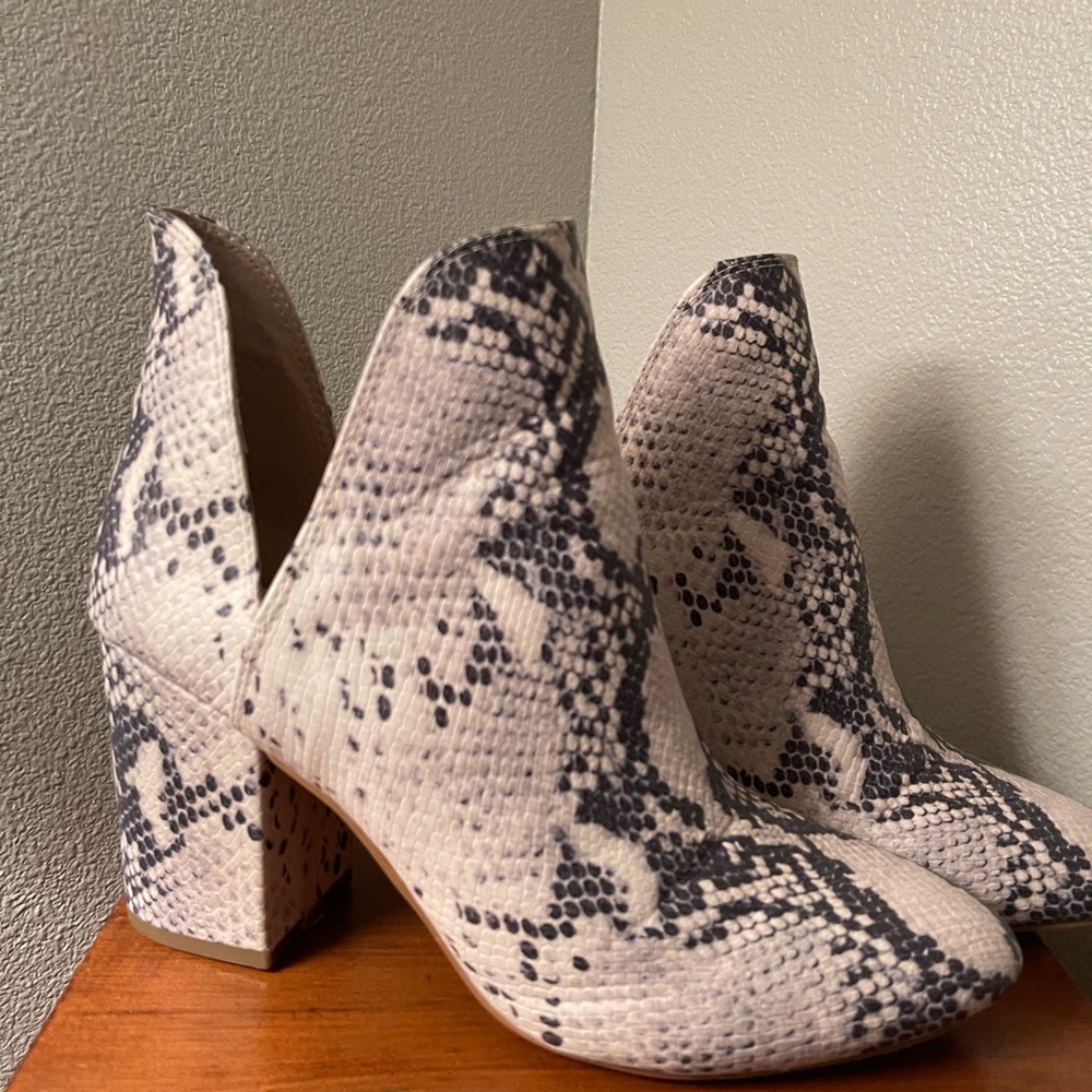 Steve Madden CAMRYN Booties